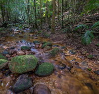 Starrs Creek picnic area - Attractions Brisbane