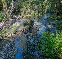 Dawson River walking track - Attractions Brisbane