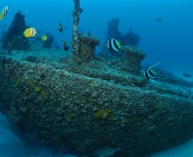 Curtain Artificial Reef Dive Site - Attractions Brisbane 1