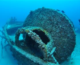 Curtain Artificial Reef Dive Site - Attractions Brisbane 3