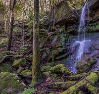 Coorabakh National Park - Attractions Brisbane