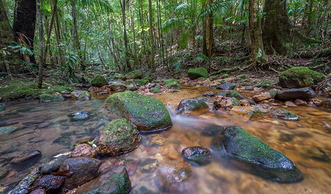 Coorabakh National Park - Attractions Brisbane 1