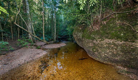 Coorabakh National Park - Attractions Brisbane 2