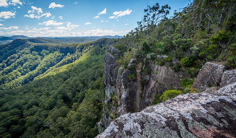 Coorabakh National Park - Attractions Brisbane 3