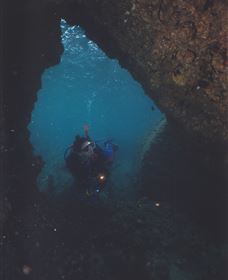 Tangalooma Wrecks Dive Site - Attractions Brisbane 1