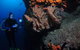 Gotham City Dive Site - thumb 0