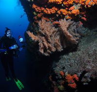 Gotham City Dive Site - Attractions Brisbane