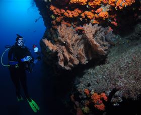 Gotham City Dive Site - Attractions Brisbane 0
