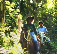 Clarendon Forest Retreat Horse Riding - Attractions Brisbane