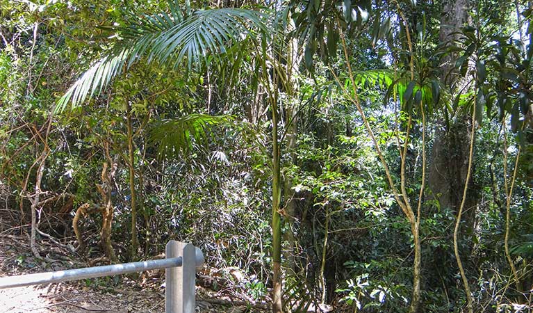 Midginbil NSW Attractions Brisbane