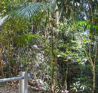 Goorgana walking track - Attractions Brisbane
