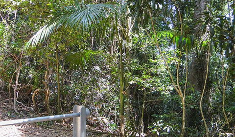 Goorgana Walking Track - Attractions Brisbane 0