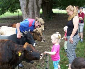 Crystal Creek NSW Attractions Brisbane