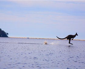 Tuross Lake - Attractions Brisbane 2