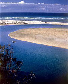 One Tree Point Lookout And Picnic Area - Attractions Brisbane 1