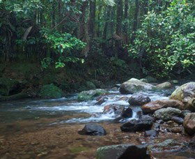 Protesters Falls - Attractions Brisbane 1