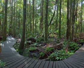 Protesters Falls - Attractions Brisbane 4