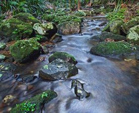Protesters Falls - Attractions Brisbane 7