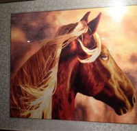Silk Art Gallery - Attractions Brisbane