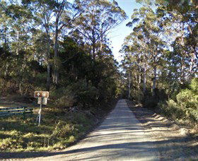 Box Cutting Rainforest Walk - Attractions Brisbane 0