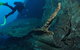 Cementco Dive Site - thumb 0