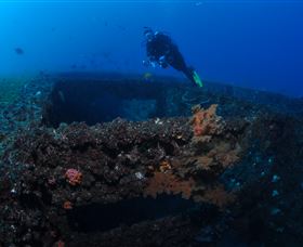 Cementco Dive Site - Attractions Brisbane 3