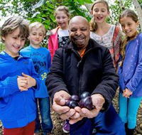 Wigay Aboriginal Culture Park - Attractions Brisbane