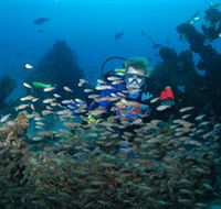 Aarhus Dive Site - Attractions Brisbane
