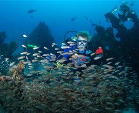 Aarhus Dive Site - Attractions Brisbane 0