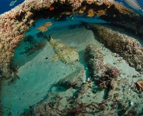 Aarhus Dive Site - Attractions Brisbane 3