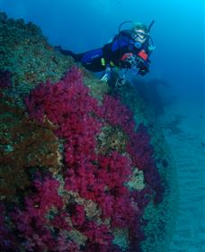 Aarhus Dive Site - Attractions Brisbane 2