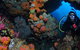 Cherubs Cave Dive Site - thumb 2