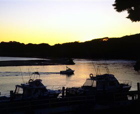 Apex Park Picnic Area Narooma - Attractions Brisbane 1