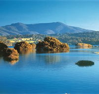 Wagonga Picnic Area - Attractions Brisbane