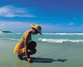 Hallidays Point NSW Attractions Brisbane