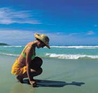 Diamond Beach - Attractions Brisbane