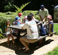 The Pines picnic area - Attractions Brisbane