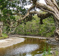 Saltwater National Park - Attractions Brisbane