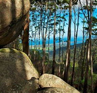 Mount Gulaga Mount Dromedary Walk - Attractions Brisbane