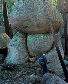 Mount Gulaga (Mount Dromedary) Walk - Attractions Brisbane 1