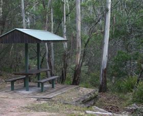 Attractions Brisbane
