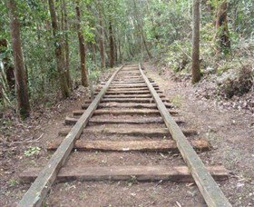 Kerewong State Forest - Attractions Brisbane 1