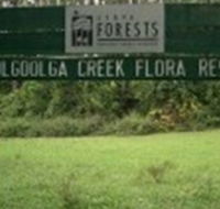 Woolgoolga Creek Flora Reserve - Attractions Brisbane