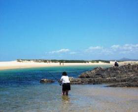 Coffs Coast State Park - Attractions Brisbane 2