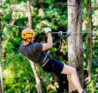 TreeTop Challenge Currumbin - Attractions Brisbane