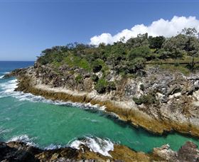 North Gorge Walk - Attractions Brisbane 3