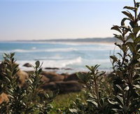 Cape Conran Nature Trail
