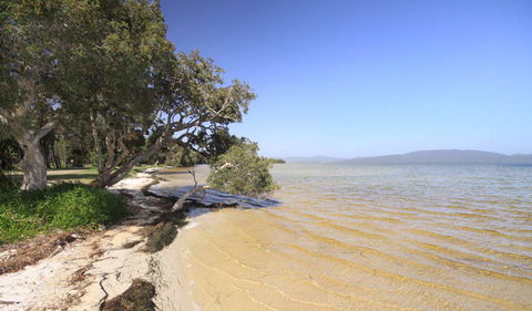 Booti Booti National Park - Attractions Brisbane 1