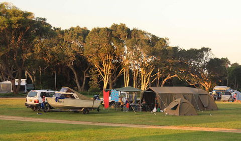 Booti Booti National Park - Attractions Brisbane 3