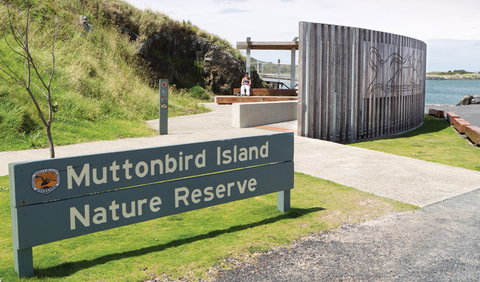 Muttonbird Island Outdoor Learning Space - Attractions Brisbane 0